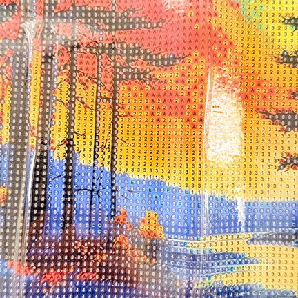 diamond-painting-adualt-J-30in40