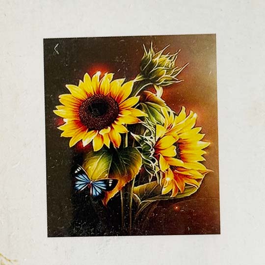 diamond-painting-adualt-40in50