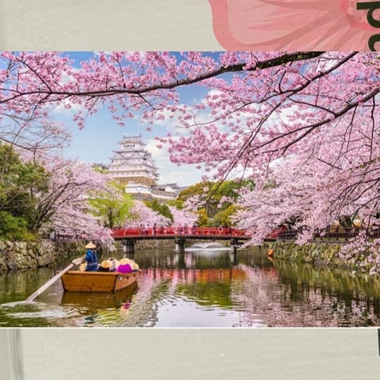 diamond-painting-adualt-A-30in40