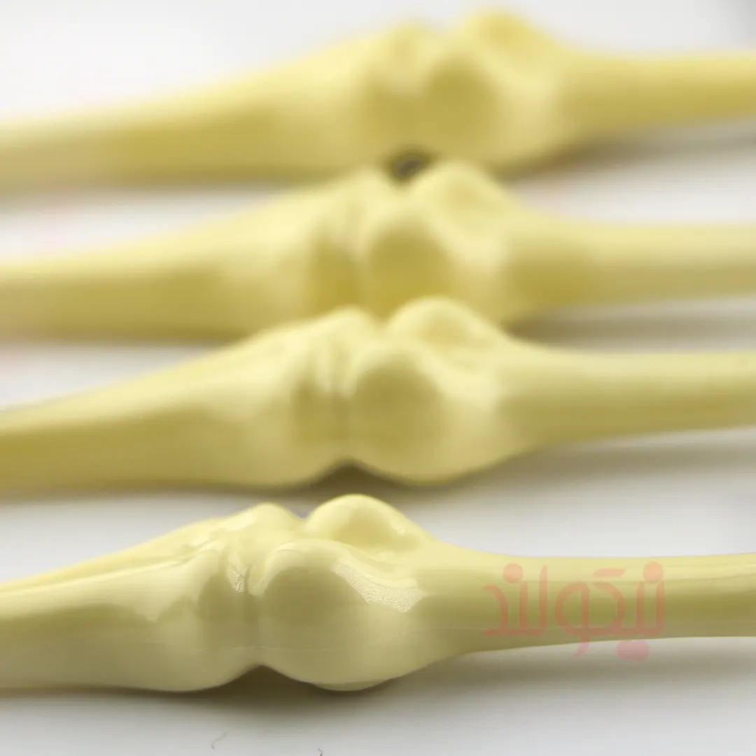 Bone-Pen