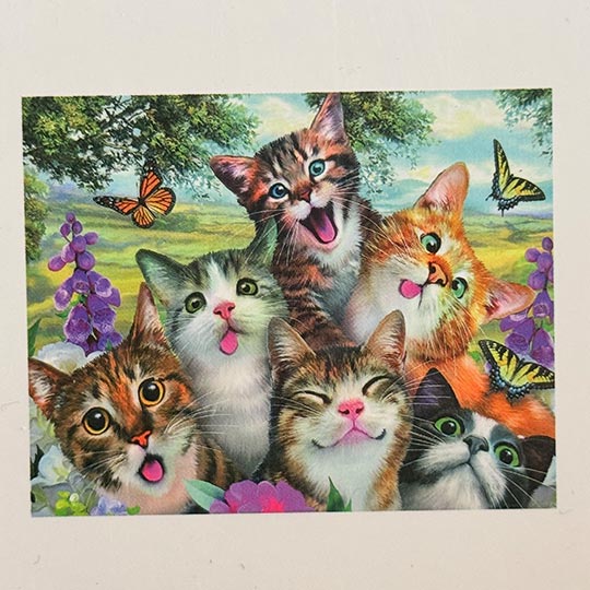 diamond-painting-adualt-A-30in40