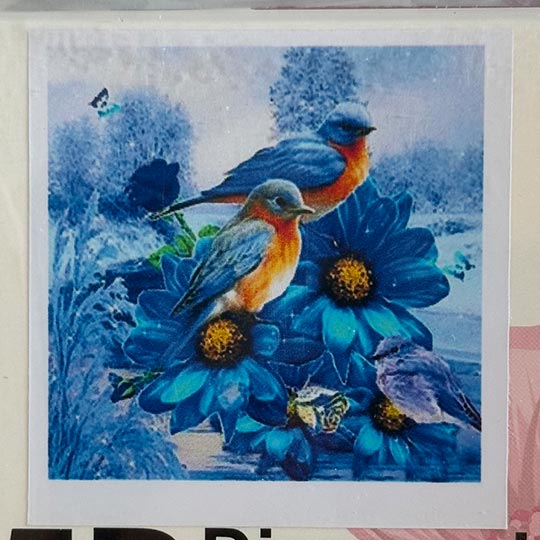 diamond-painting-adualt-30in30