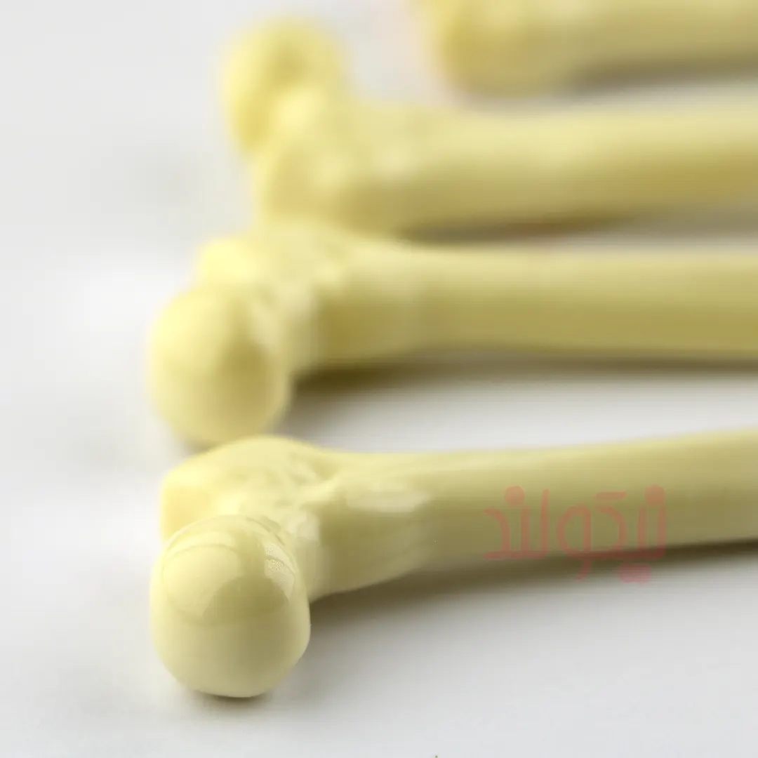 Bone-Pen