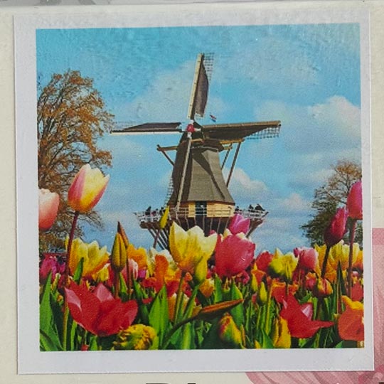 diamond-painting-adualt-30in30