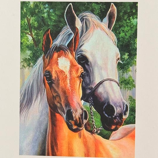 diamond-painting-adualt-A-30in40