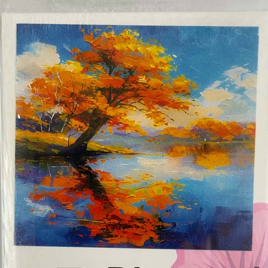 diamond-painting-adualt-50in65
