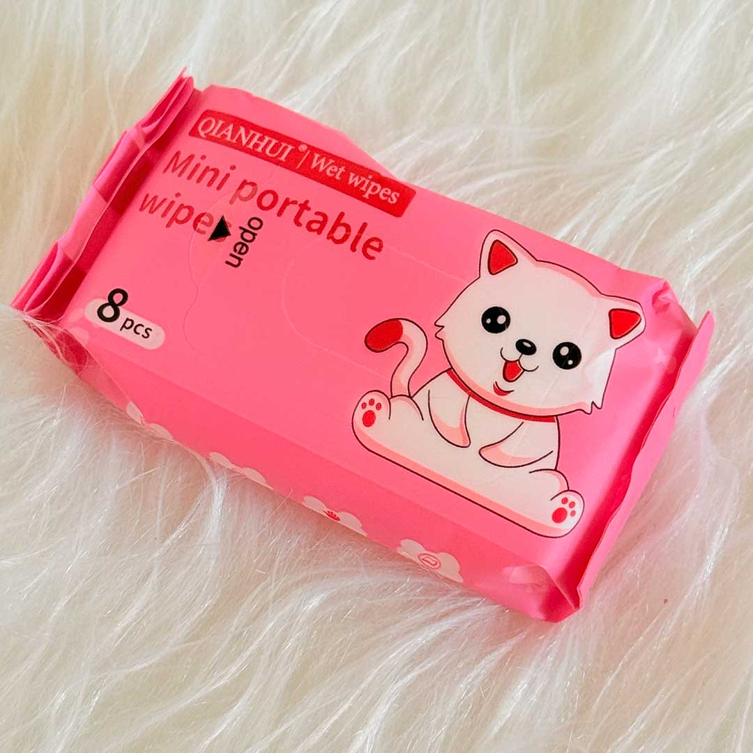 mini-Wet-wipes-cute