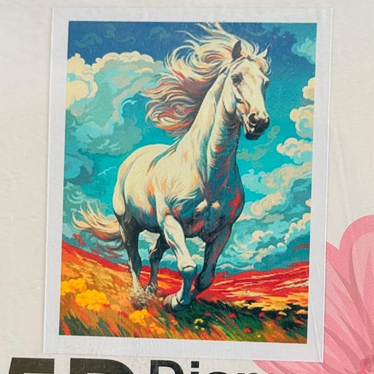 diamond-painting-adualt-A-30in40