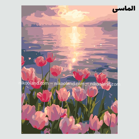 diamond-painting-boom-30in40