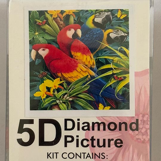 diamond-painting-adualt-30in30