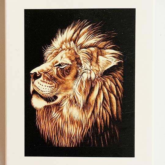 diamond-painting-adualt-40in50