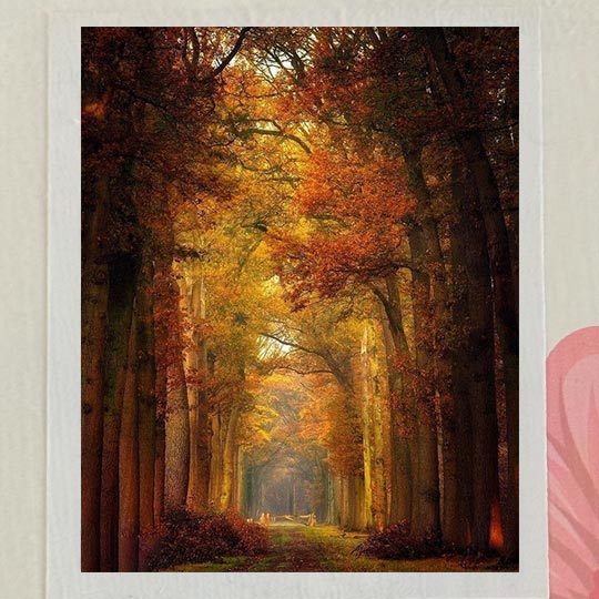 diamond-painting-adualt-A-30in40