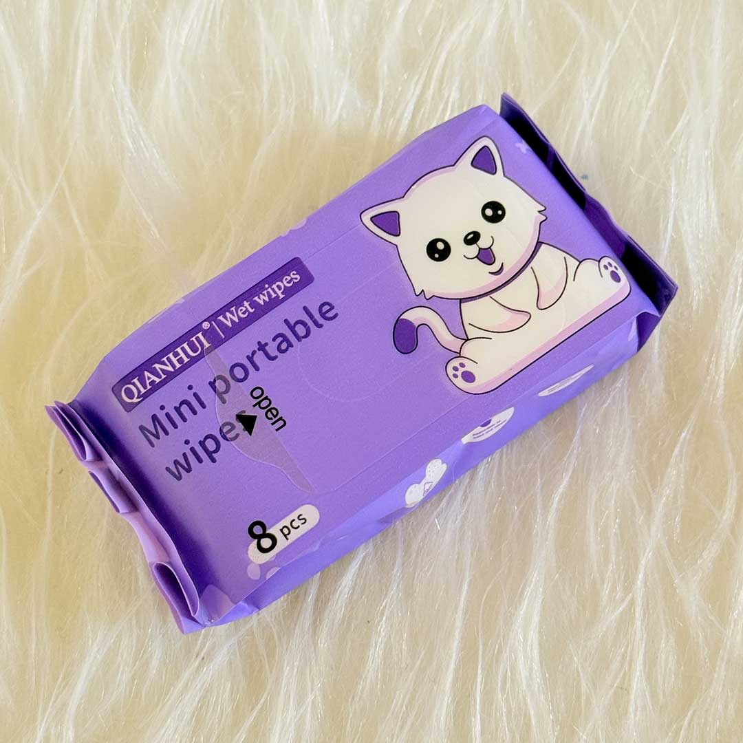 mini-Wet-wipes-cute
