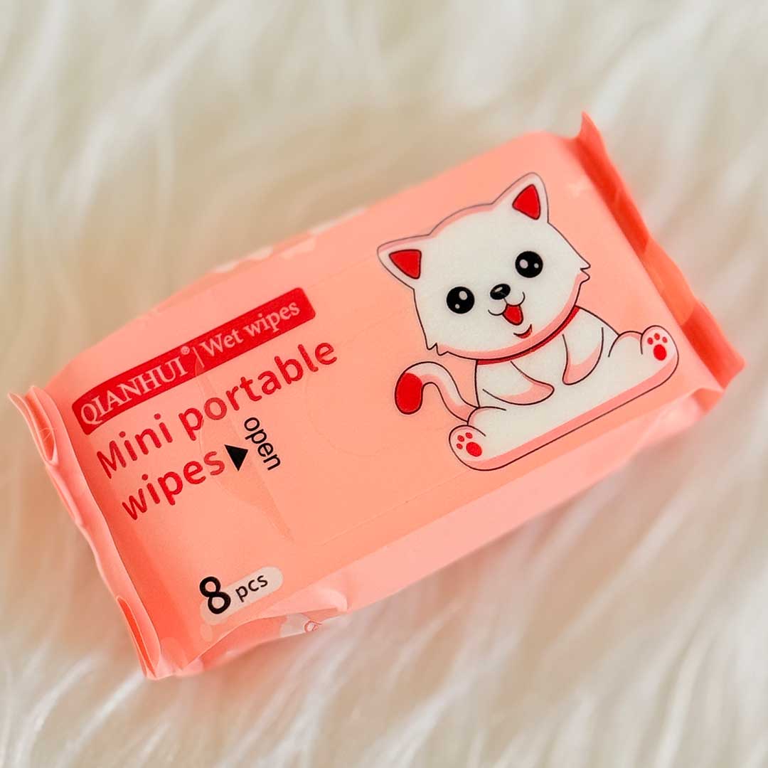 mini-Wet-wipes-cute