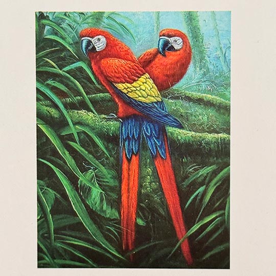 diamond-painting-adualt-A-30in40