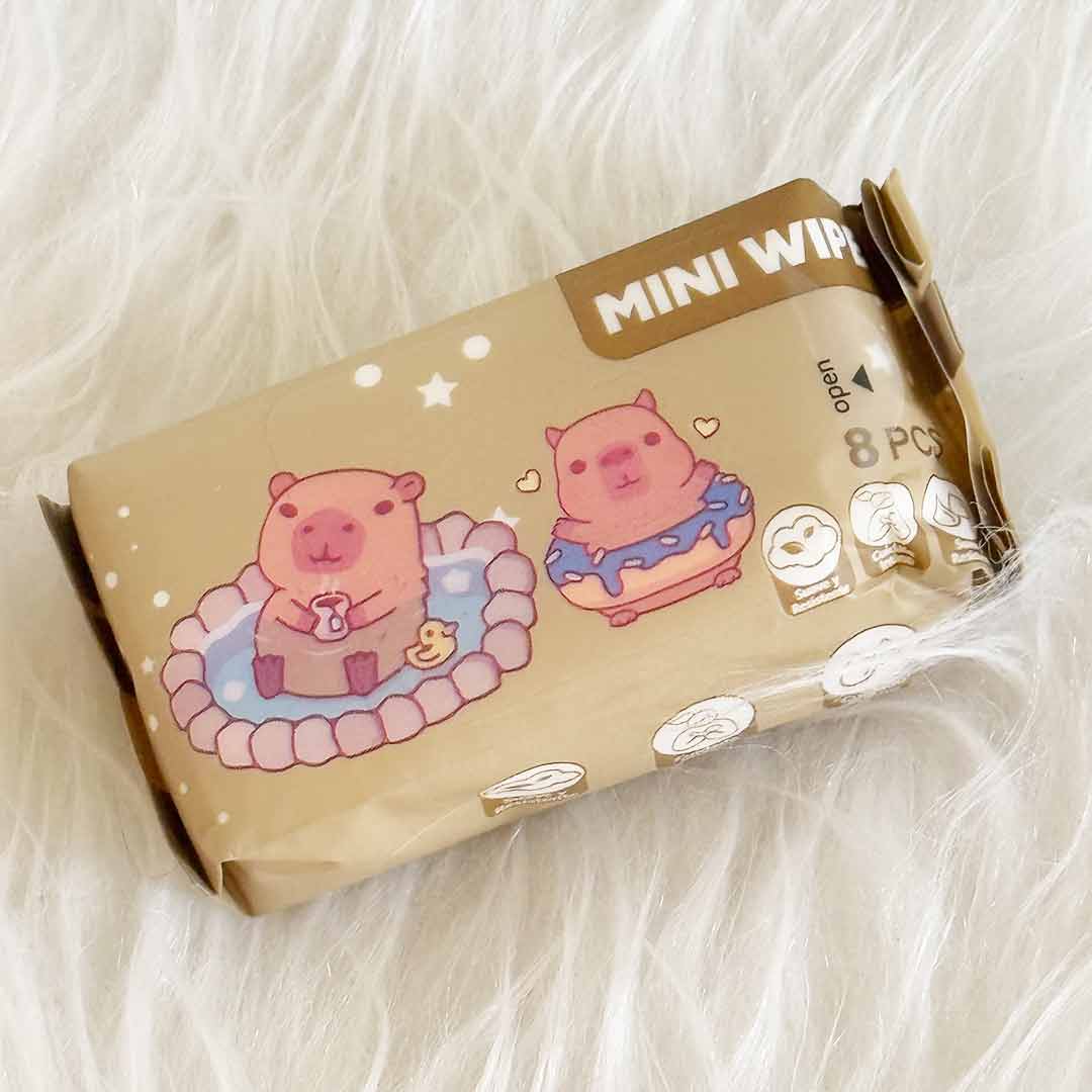 mini-Wet-wipes-cute