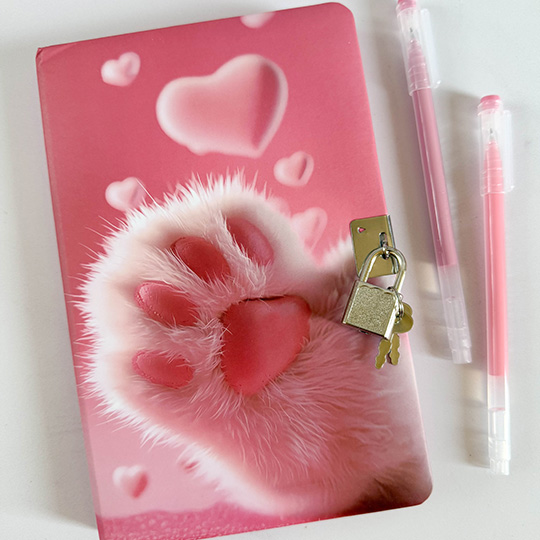 cute-locked-noteebook-80