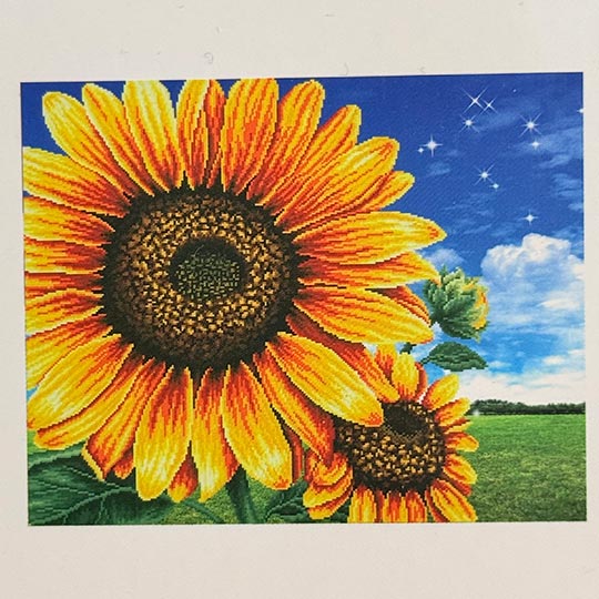 diamond-painting-adualt-A-30in40