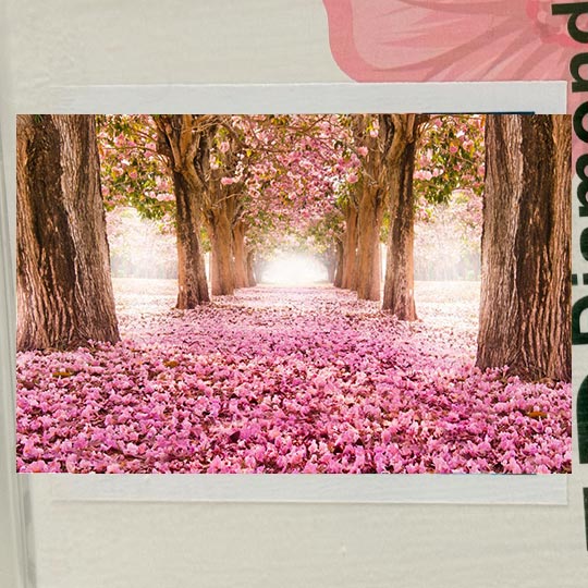 diamond-painting-adualt-A-30in40