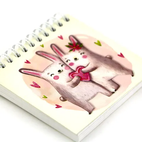 Rabbit_Notebook