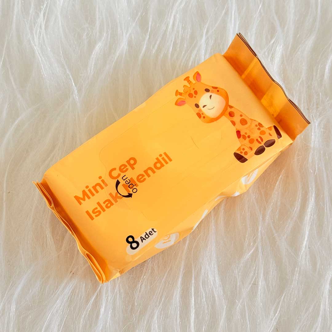 mini-Wet-wipes-cute