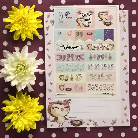 Owl-Paper-Pack